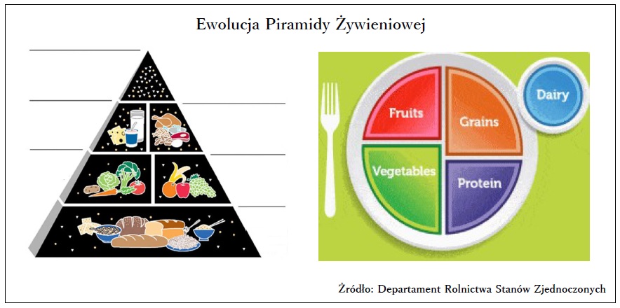 Ewolucja Piramidy Żywieniowej
